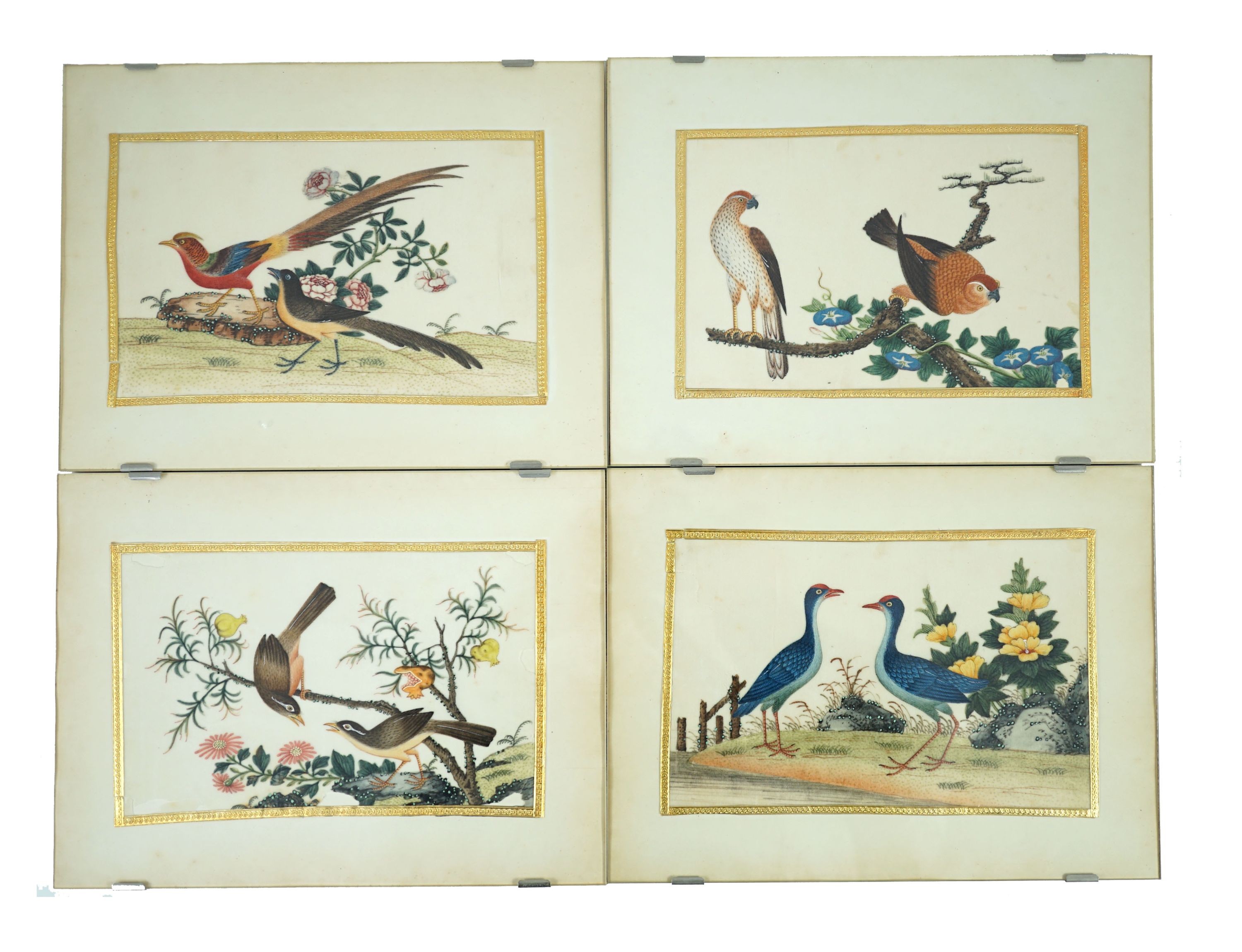 A set of 16 Chinese pith paintings of birds and flowers, mid 19th century, Largest Image 12cm x 18cm